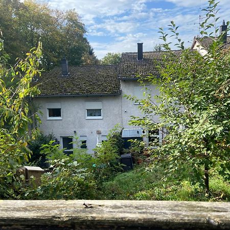 In Saarbruecken Stadtnahe Gemuetliche Wohnung Am Deutsch-Franzoesischen Garten Экстерьер фото