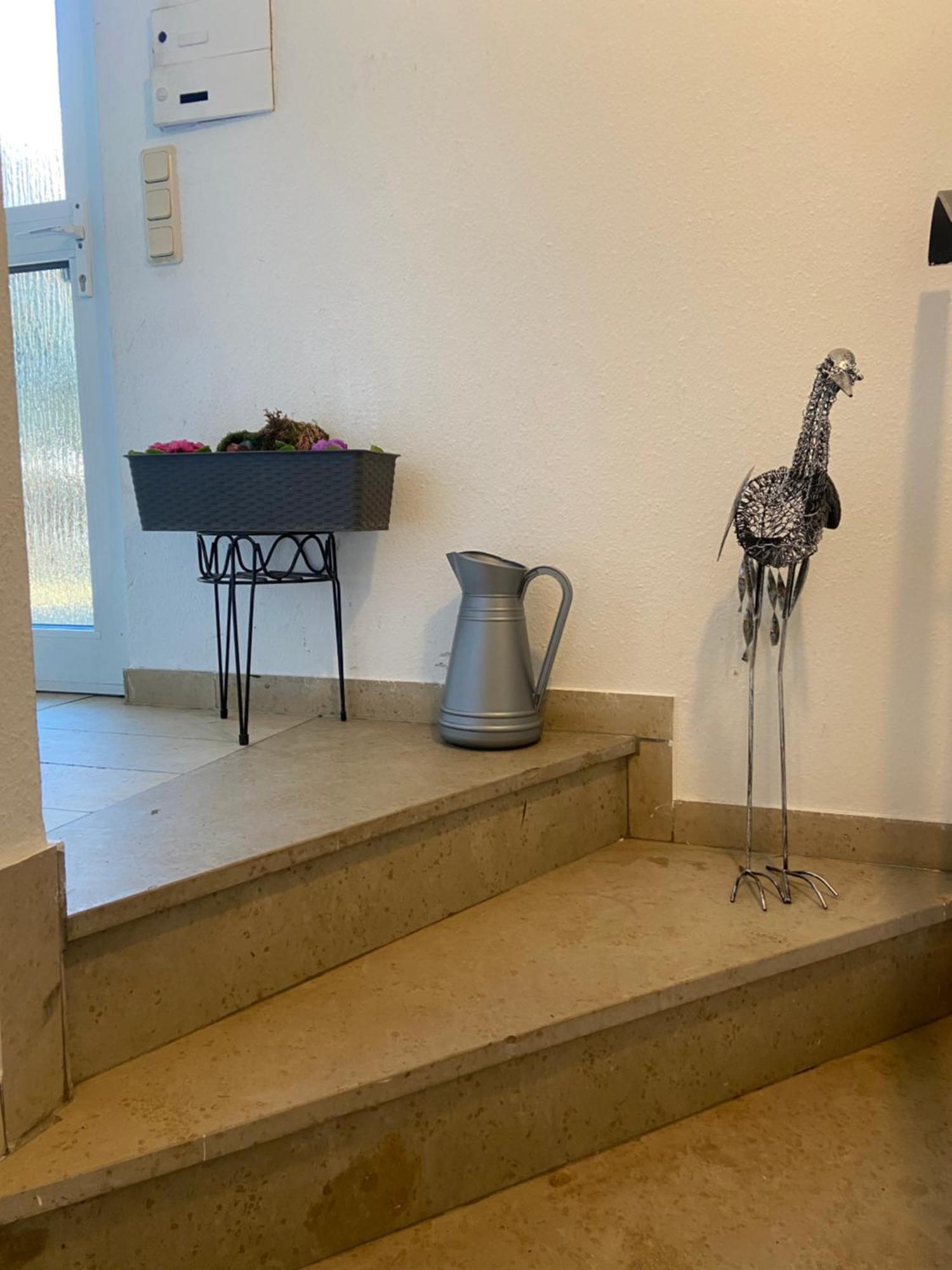 In Saarbruecken Stadtnahe Gemuetliche Wohnung Am Deutsch-Franzoesischen Garten Экстерьер фото