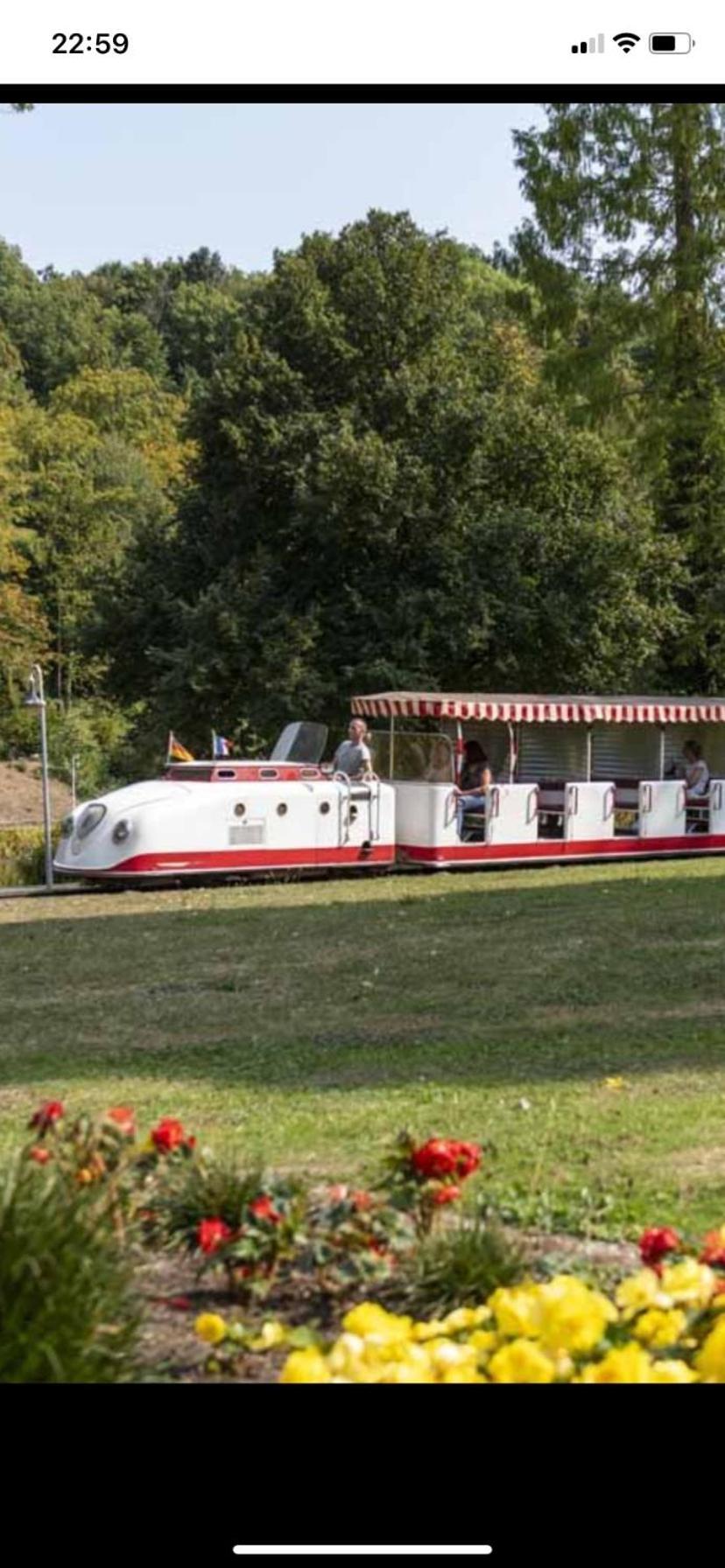 In Saarbruecken Stadtnahe Gemuetliche Wohnung Am Deutsch-Franzoesischen Garten Экстерьер фото