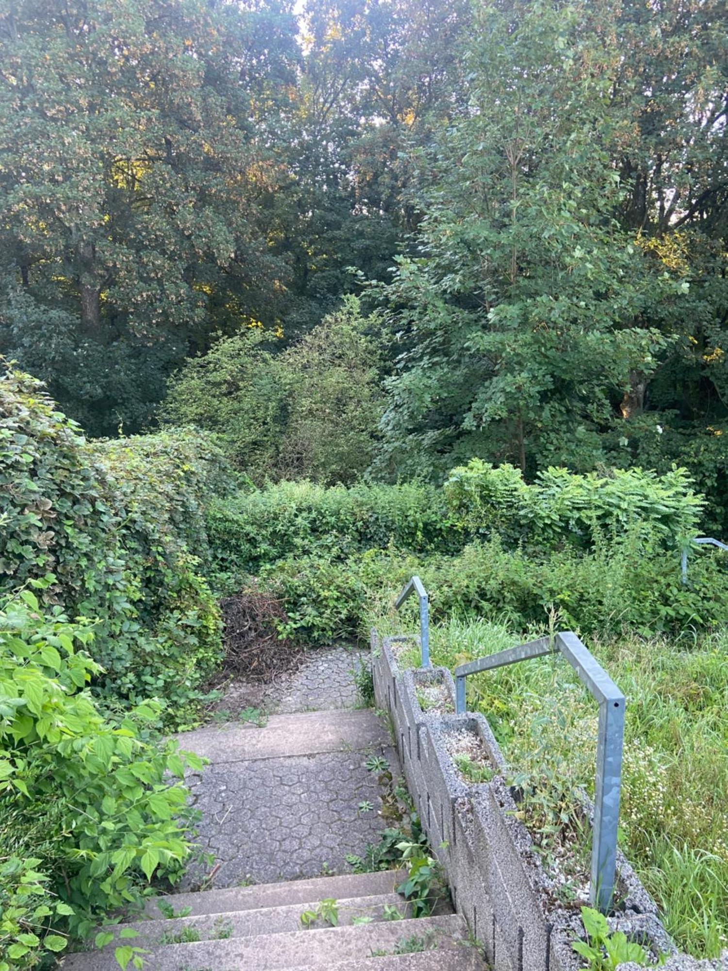In Saarbruecken Stadtnahe Gemuetliche Wohnung Am Deutsch-Franzoesischen Garten Экстерьер фото